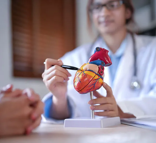 Comprehensive Care for Heart Valve Conditions