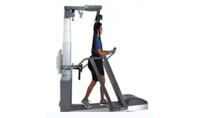 Treadmill with Harness