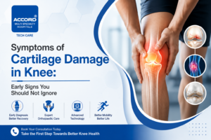 Symptoms of Cartilage Damage in Knee: Early Signs You Should Not Ignore